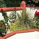Seacourt - Adult Only Bed & Breakfast