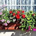 Seacourt - Adult Only Bed & Breakfast Tramore