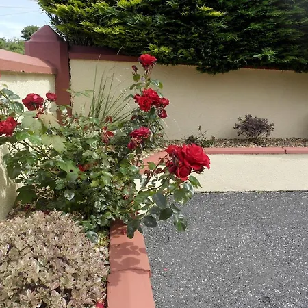 Seacourt - Adult Only