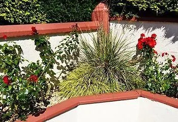 Seacourt - Adult Only Frühstückspension