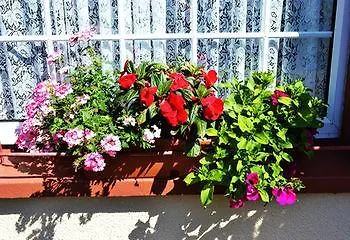 Seacourt - Adult Only Bed & Breakfast Tramore